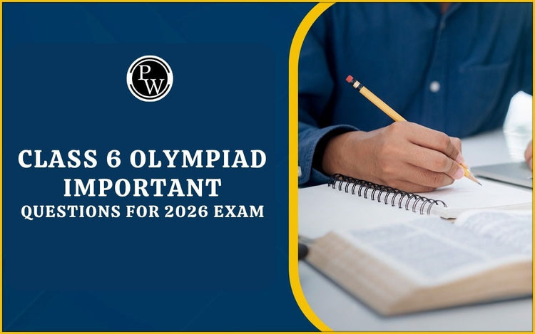Class 6 Olympiad Important Questions