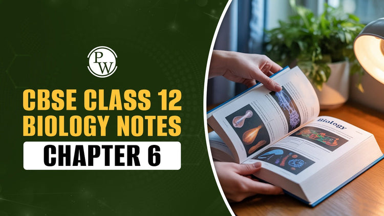 CBSE Class 12 Biology Notes Chapter 6 Molecular Basis of Inheritance