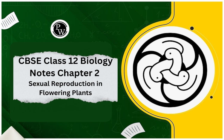 CBSE Class 12 Biology Notes Chapter 2 Sexual Reproduction in Flowering Plants