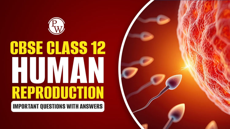 CBSE Class 12 Human Reproduction Important Questions with Answers