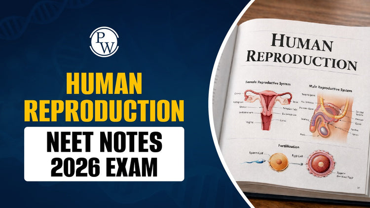 Human Reproduction NEET Notes 2026 Exam