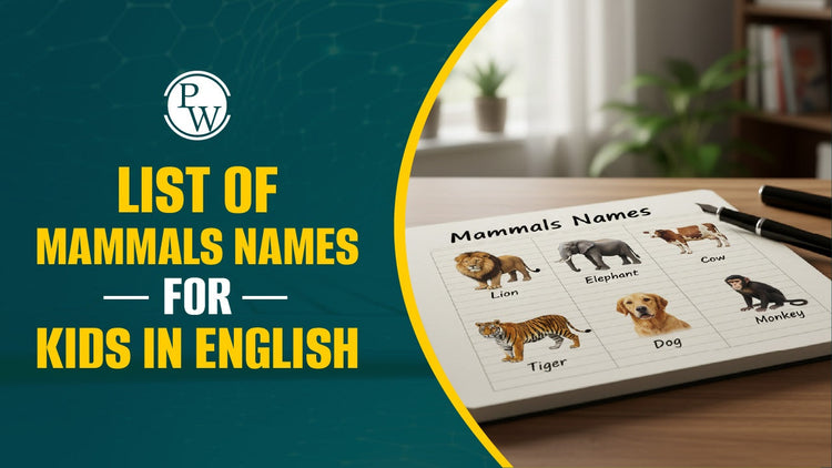 List of Mammals Names for Kids in English