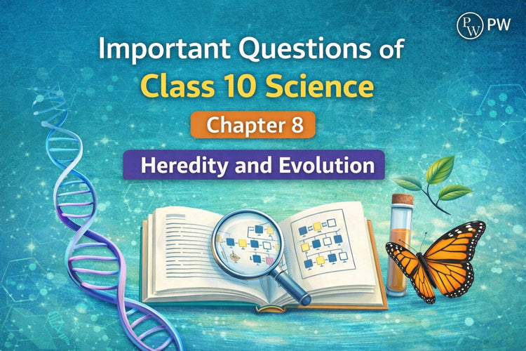 Important Questions of Class 10 Science Chapter 8 Heredity and Evolution