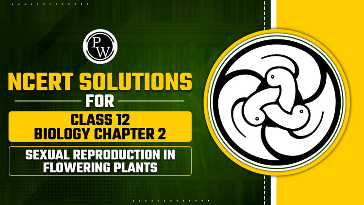 NCERT Solutions for Class 12 Biology Chapter 2 Sexual Reproduction In Flowering Plants