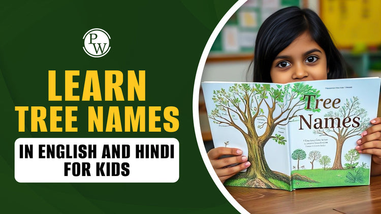 Learn Tree Names in English and Hindi for Kids