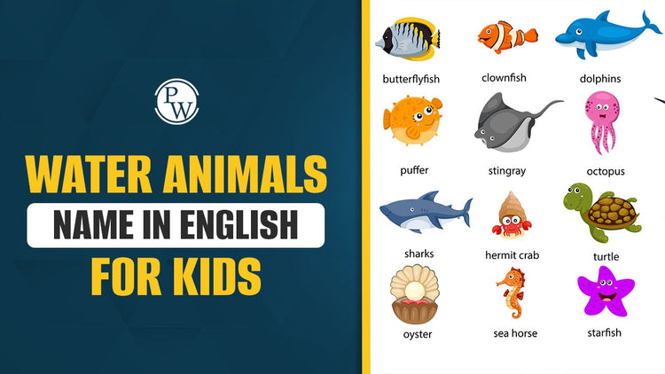 Water Animals Name in English for Kids