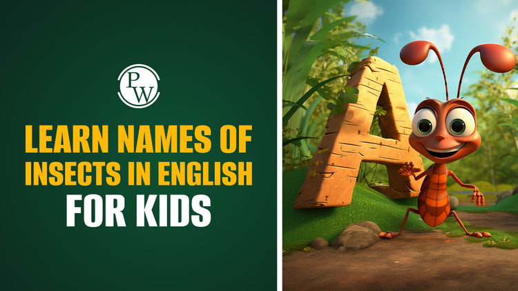 Learn Names Of Insects in English For Kids