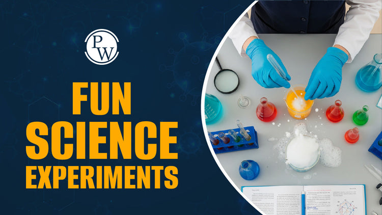 Fun Science Experiment to Make Learning Exciting