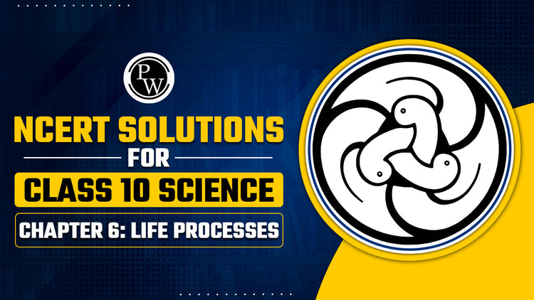 NCERT Solutions for Class 10 Science Chapter 6 Life Processes