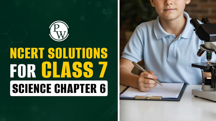 NCERT Solutions for Class 7 Science Chapter 6 Physical and Chemical Changes