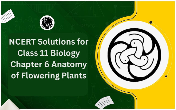 NCERT Solutions for Class 11 Biology Chapter 6 Anatomy of Flowering Plants