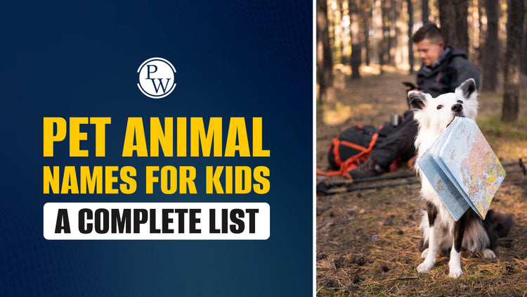 Pet Animal Names for Kids - A Complete List