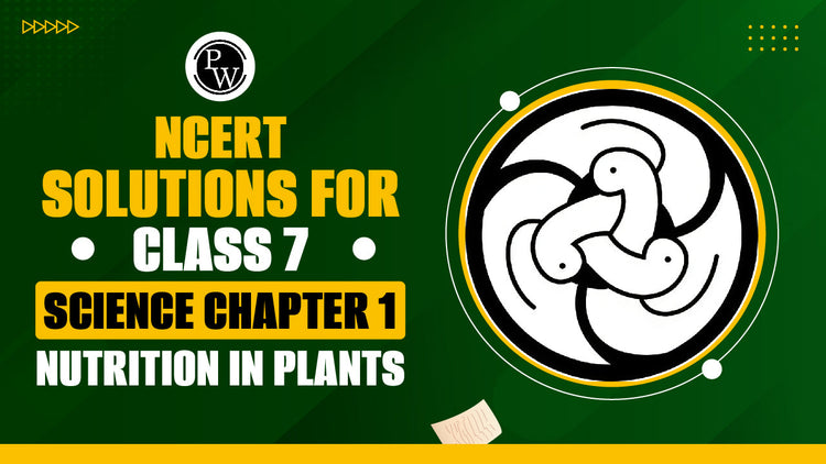 NCERT Solutions for Class 7 Science Chapter 1 Nutrition in Plants
