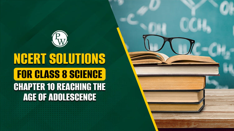 NCERT Solutions for Class 8 Science Chapter 10 Reaching The Age of Adolescence