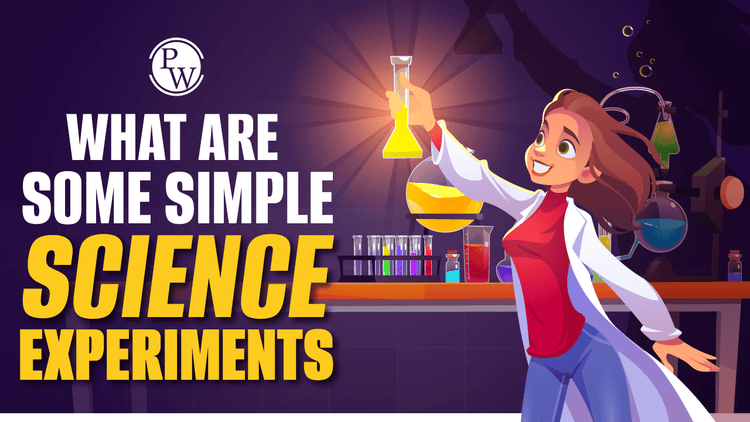 Simple Science Experiments That You Can Do At Your Home