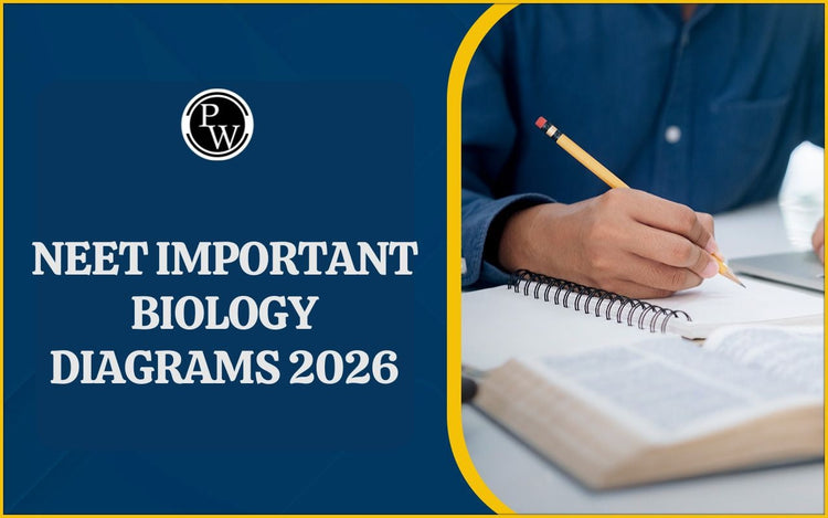 NEET Important Biology Diagrams 2026