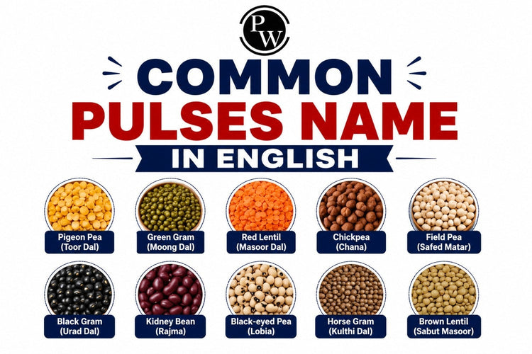 Common Pulses Name in English