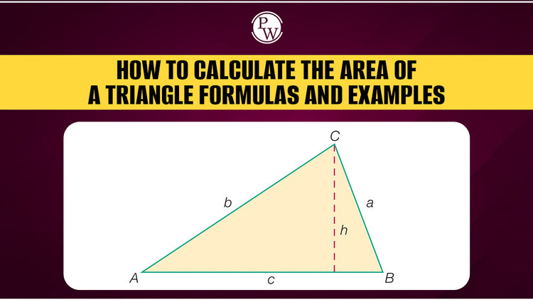How to Calculate the Area of a Triangle: Formulas and Examples
