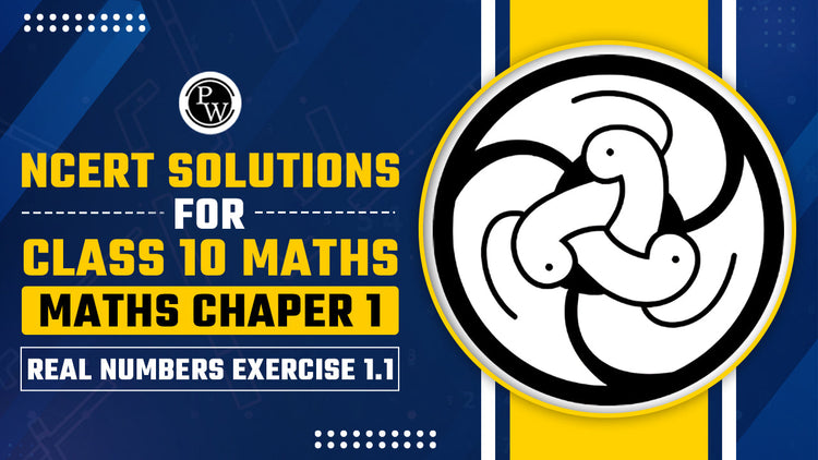 NCERT Solutions for Class 10 Maths Chapters 1 Real Number Exercise 1.1