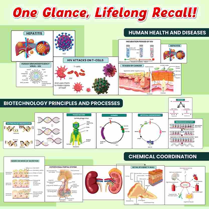 NEET BioLens Biology Through Images For 2024-25 Exams l Interactive 3D Models, Visual Representation, Practice Questions