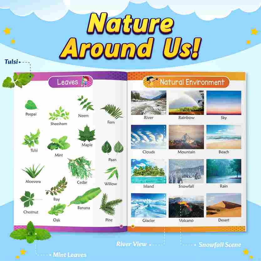 All-in-One 1200 Words & Picture Book for Kids 2+ | ABC, Numbers, Colors & More