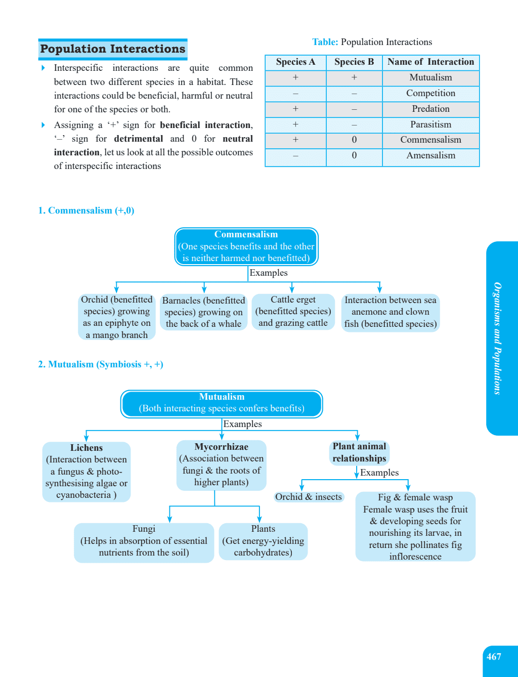 45 Days NEET Most Wanted Biology, Physics, Chemistry, Combo for NEET UG 2025 Chapter wise Revision Based on 80-20 rule with Sample Papers and Handpicked Past Year Questions
