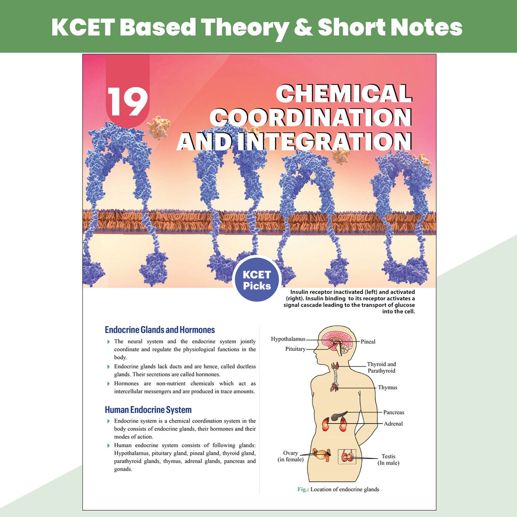 PW Karnataka CET (KCET) Objective NCERT Punch Biology For KCET 2027 Exam l Topicwise Theory with 5700+ MCQs | KCET 10 Years PYQs and Mock Tests