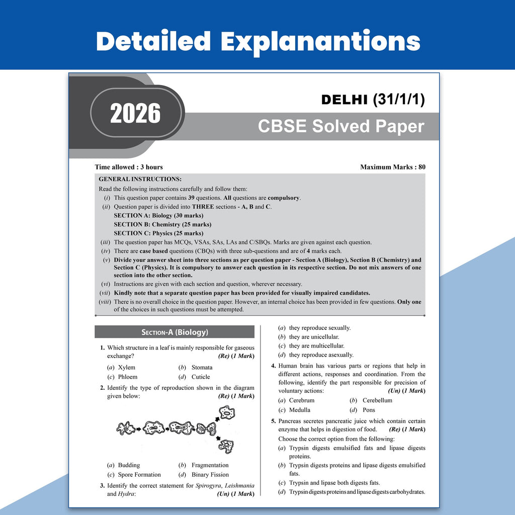 IBPS RRB Clerk & PO 24 Yearwise Previous Year Solved Papers PYQ (2025-2020) Prelims & Mains For 2026 Exams | Officers Scale-l & Office Assistants | 15 Online Mock Tests