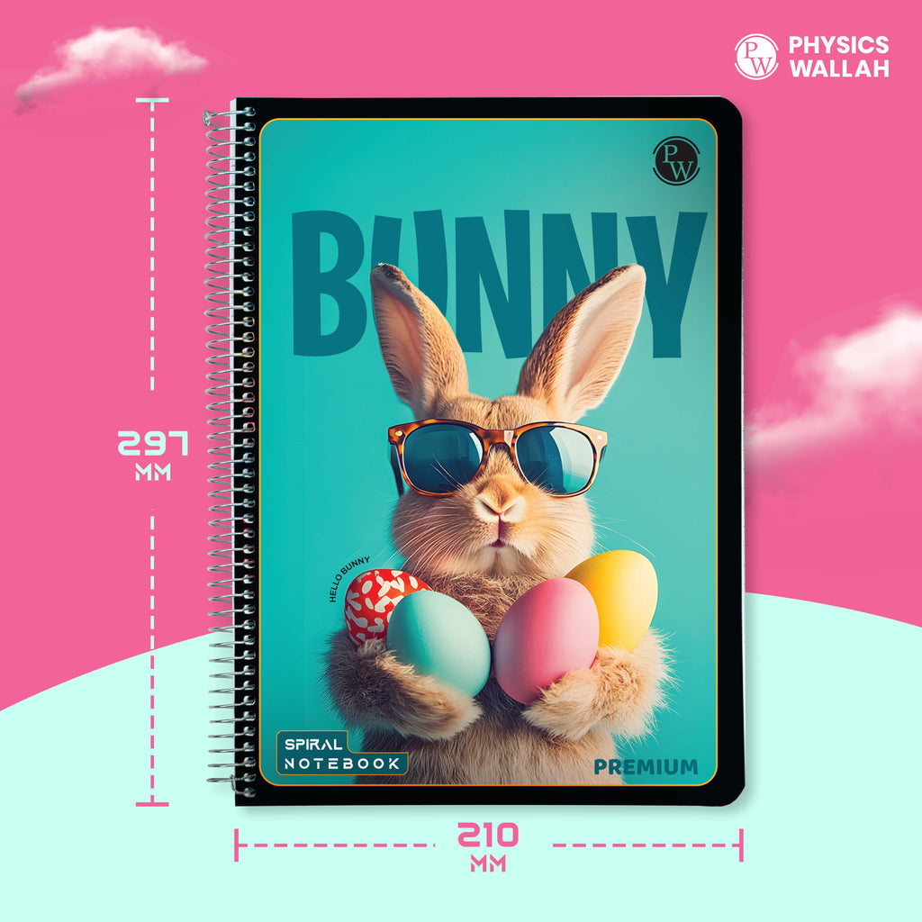 Exam Practice notebook set. Pen with set of 10