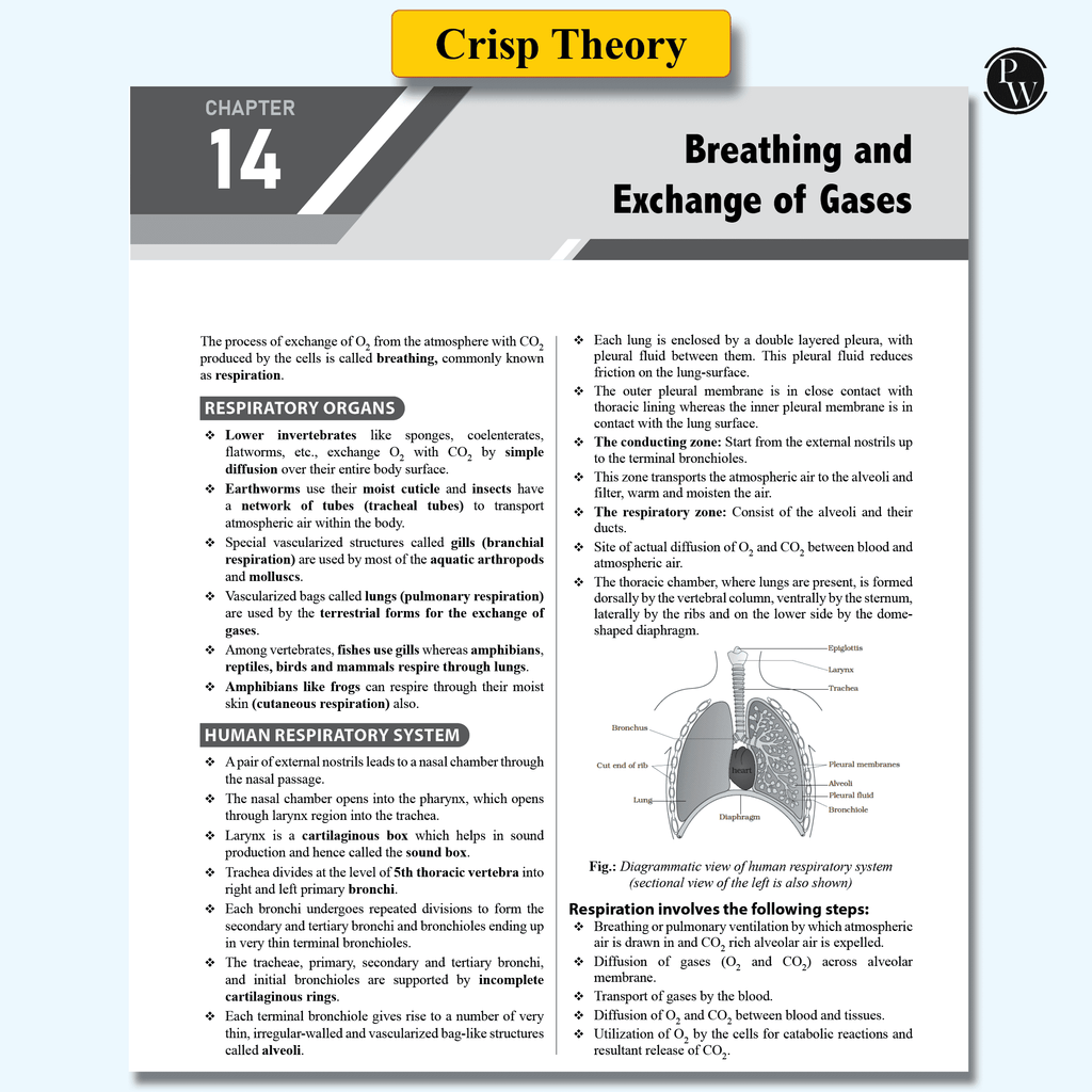 Sprint NEET Crash Course Class 11 Combo Set of 3 Books l Physics, Chemistry, Biology For 2024-2025 Exams l 60 Days Study Plan l Crisp Theory & Level-wise Questions
