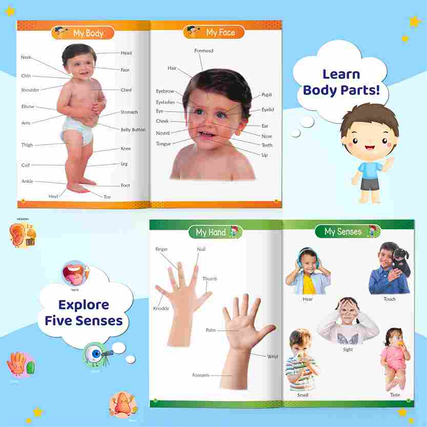 All-in-One 1200 Words & Picture Book for Kids 2+ | ABC, Numbers, Colors & More