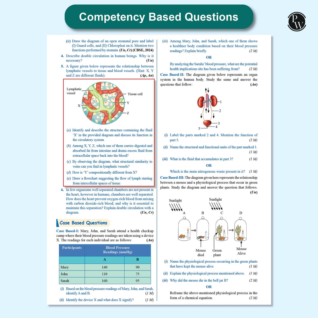 CBSE Question & Concept Bank (QCB) Class 10 Science and Mathematics (Standard) Combo Set of 2 Books Chapterwise & Topicwise Solved Questions For 2026 Exams
