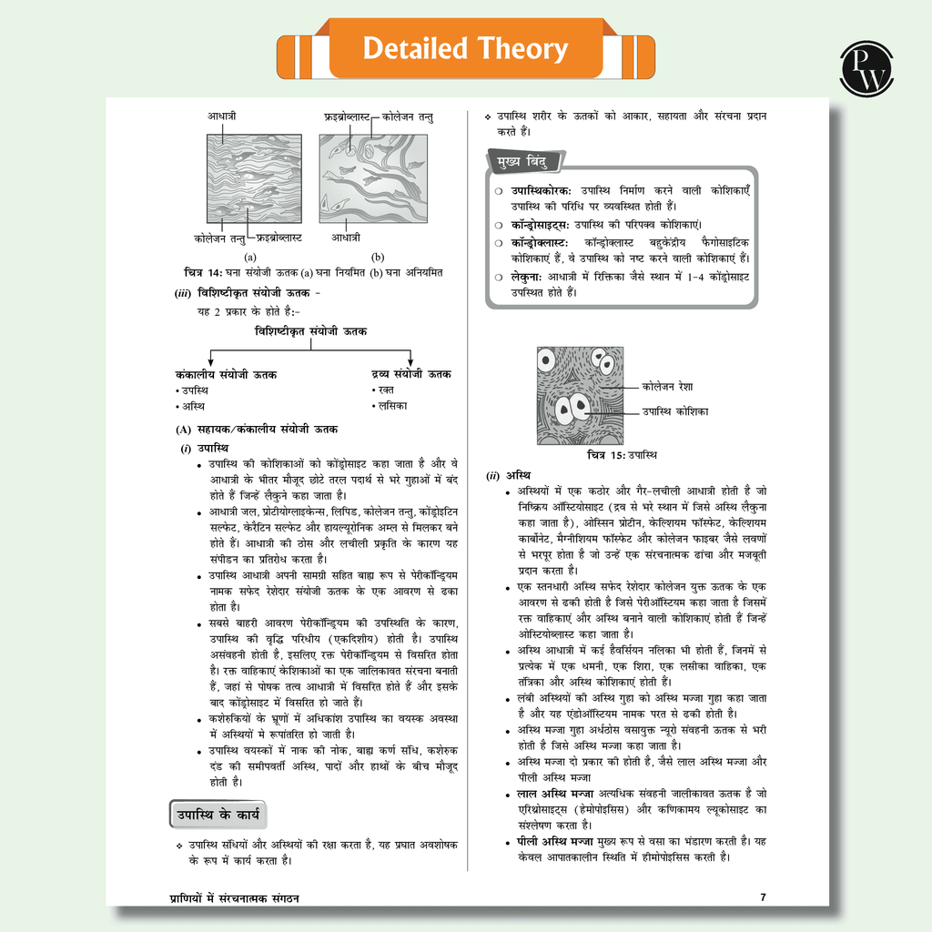 Arjuna For NEET Hindi Edition Class 11 Physics, Chemistry, Botany and Zoology Modules with Solutions & 15 OMR Sheets Combo Set of 15 Books (2025 Edition)