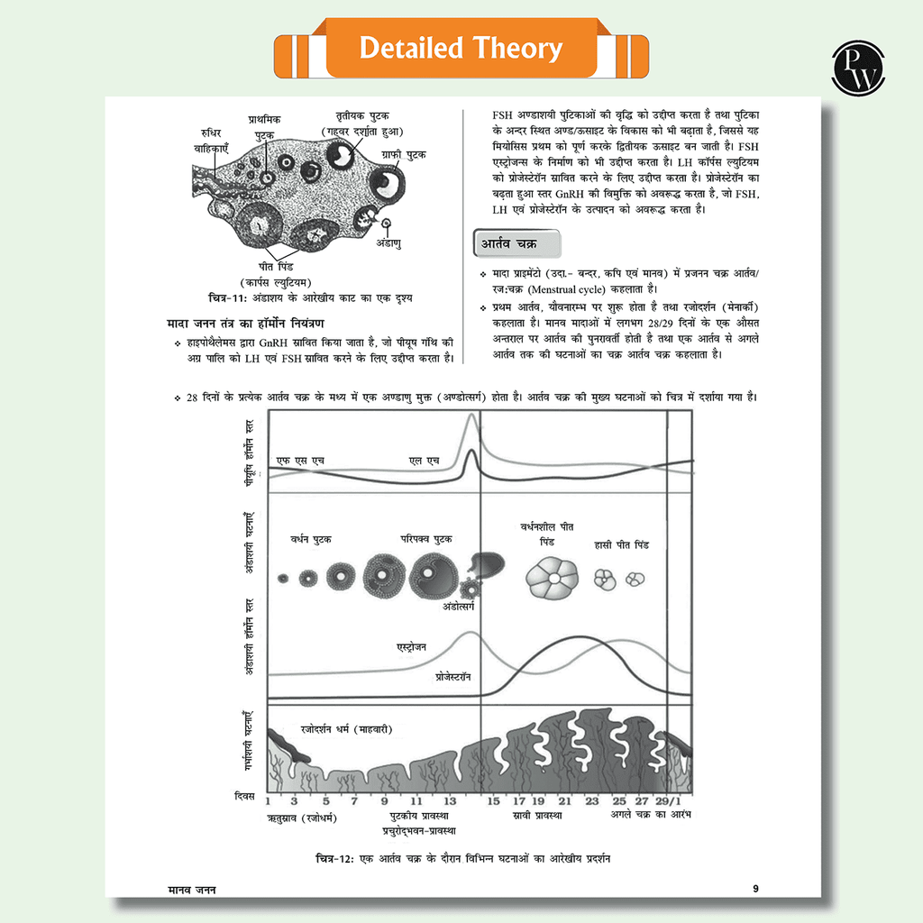 Lakshya For NEET Hindi Edition Class 12 Physics, Chemistry, Botany and Zoology Modules with Solutions & 30 OMR Sheets Combo Set of 13 Books (2025 Edition).