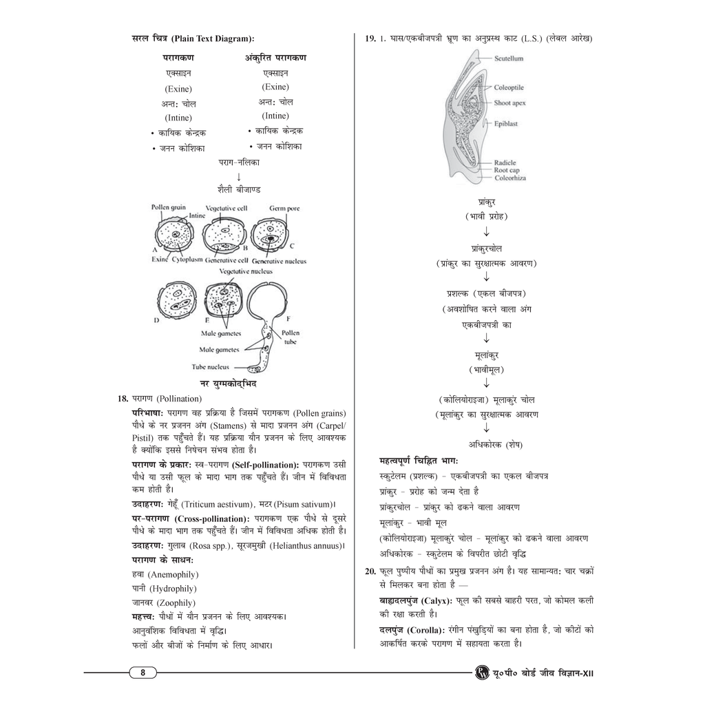 Class 12 UP Board Exam Sathi MCQs Biology (Hindi Medium) For 2026 Exam Pattern | Chapterwise Mind Maps & PYQs For Revision