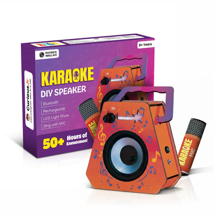 DIY Karaoke Speaker - 2025