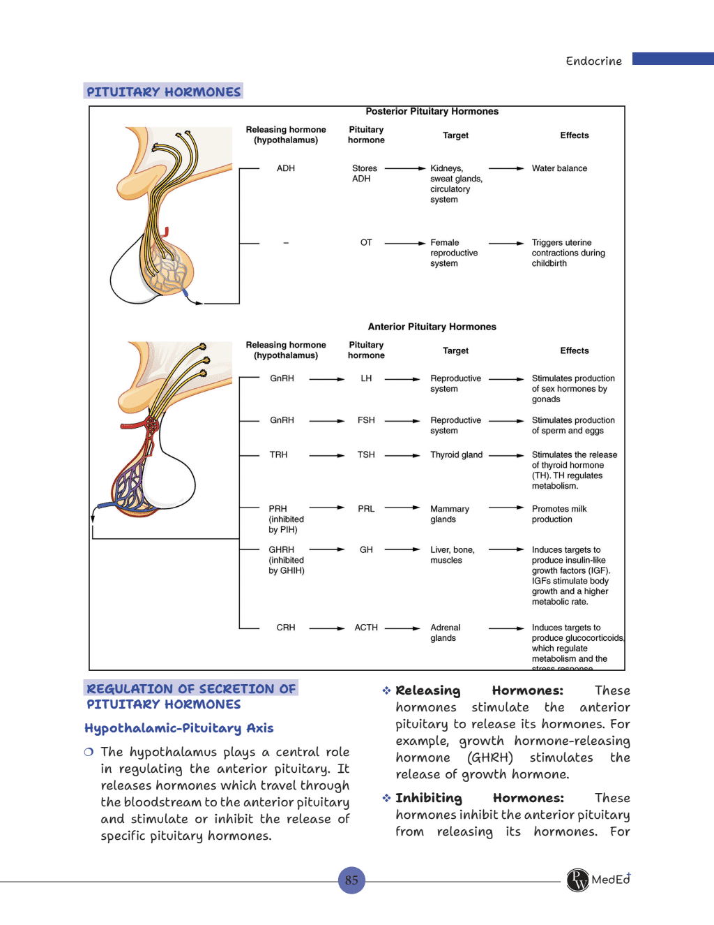 MedEd FARRE for First MBBS Professional University Exam | Anatomy, Physiology & Biochemistry | Frequently Asked Regularly Repeated Exam Questions