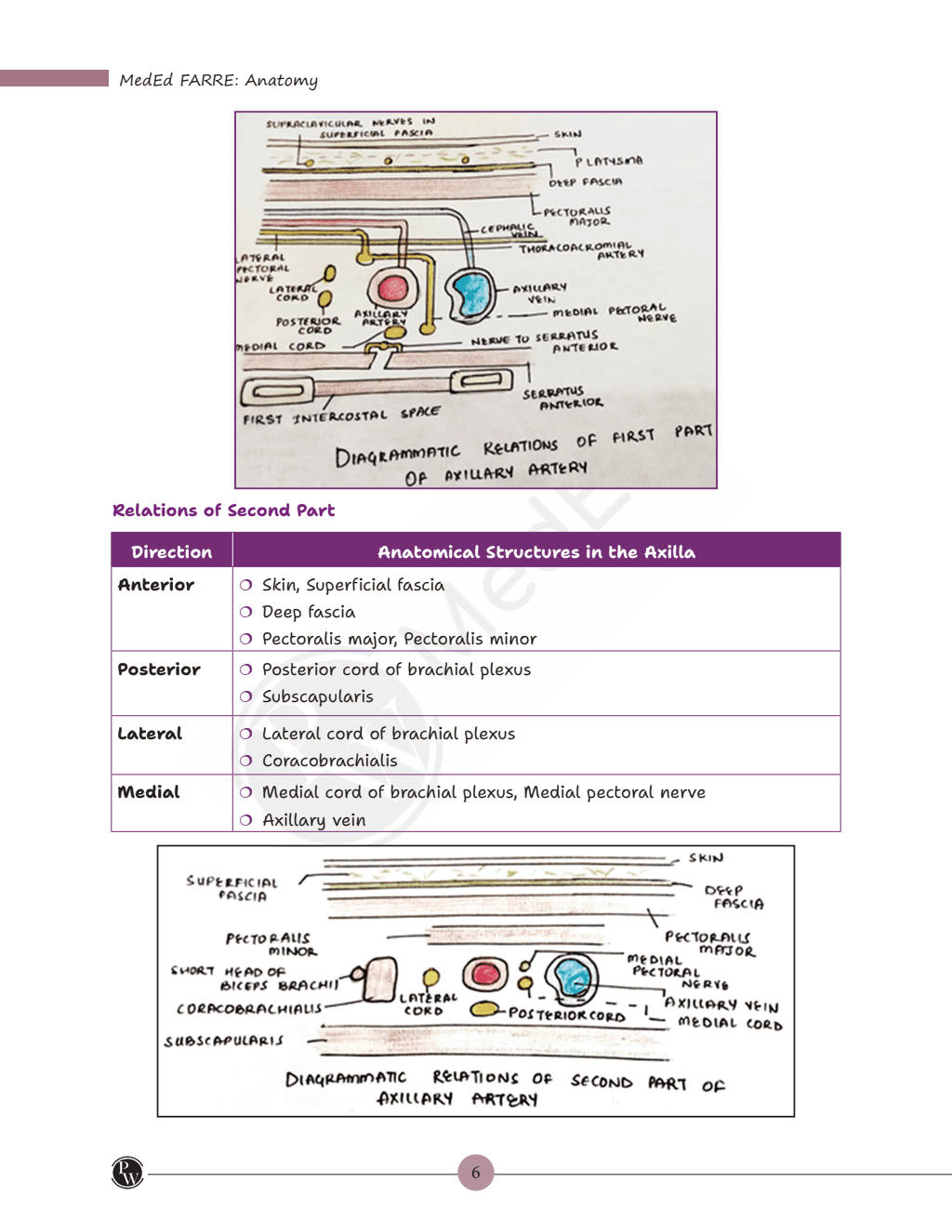 MedEd FARRE for First MBBS Professional University Exam | Anatomy, Physiology & Biochemistry | Frequently Asked Regularly Repeated Exam Questions