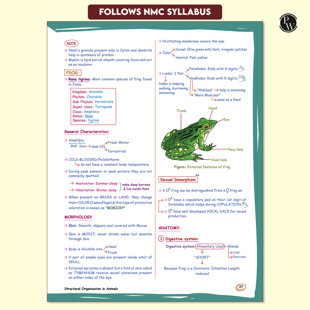 Med Easy Zoology 2.0 and Botany Handwritten Notes Combo Set of 2 Books For NEET and Board Exams 2025-26 | Flowcharts, Mnemonics, Diagrams | NCERT Unit Overview