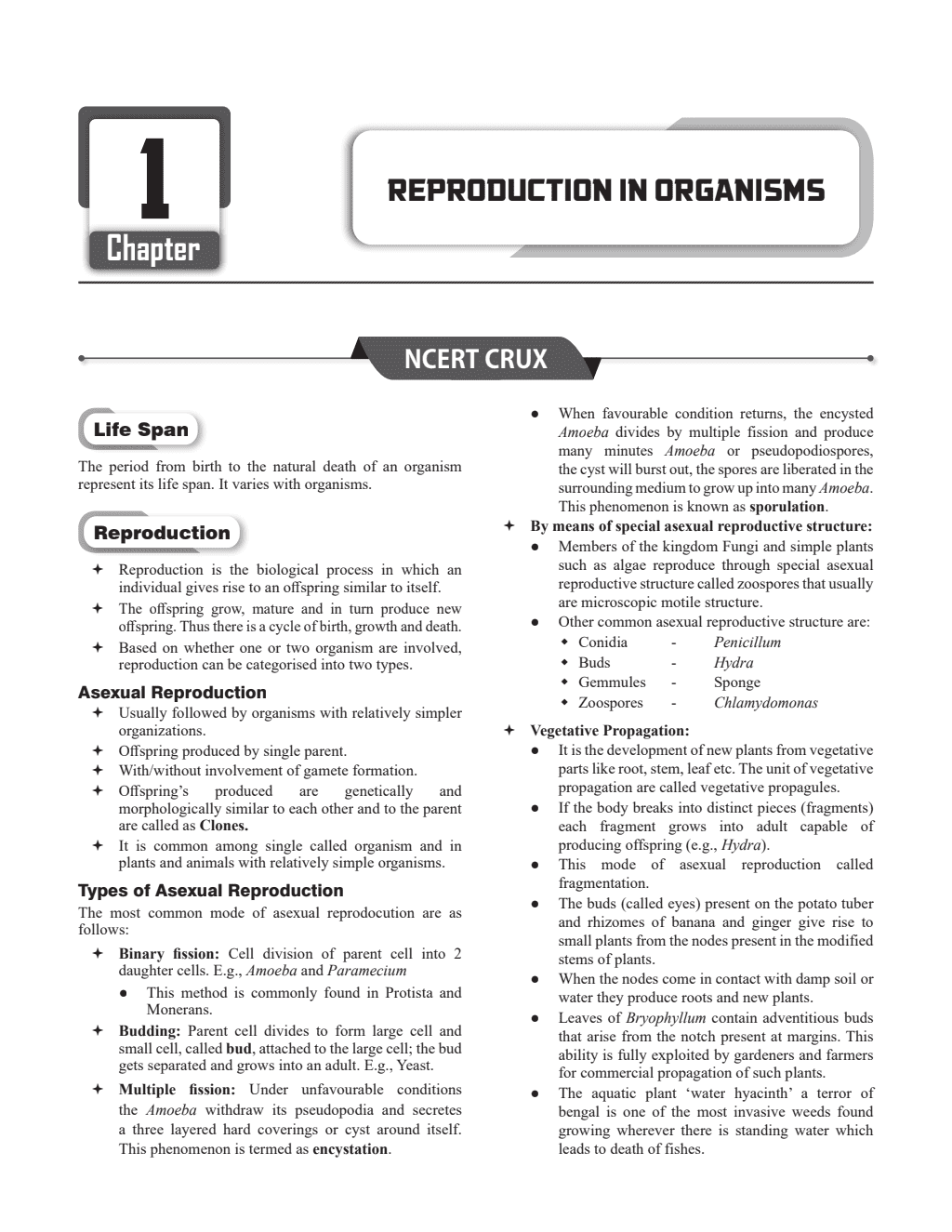 Cuet Biology Chapterwise & Topicwise Question Bank (2023- 2024) with Complete NCERT Crux, CUET PYQs (2022-2023) Past Year Questions and Mock Test I For Central Universities Entrance Test 2024