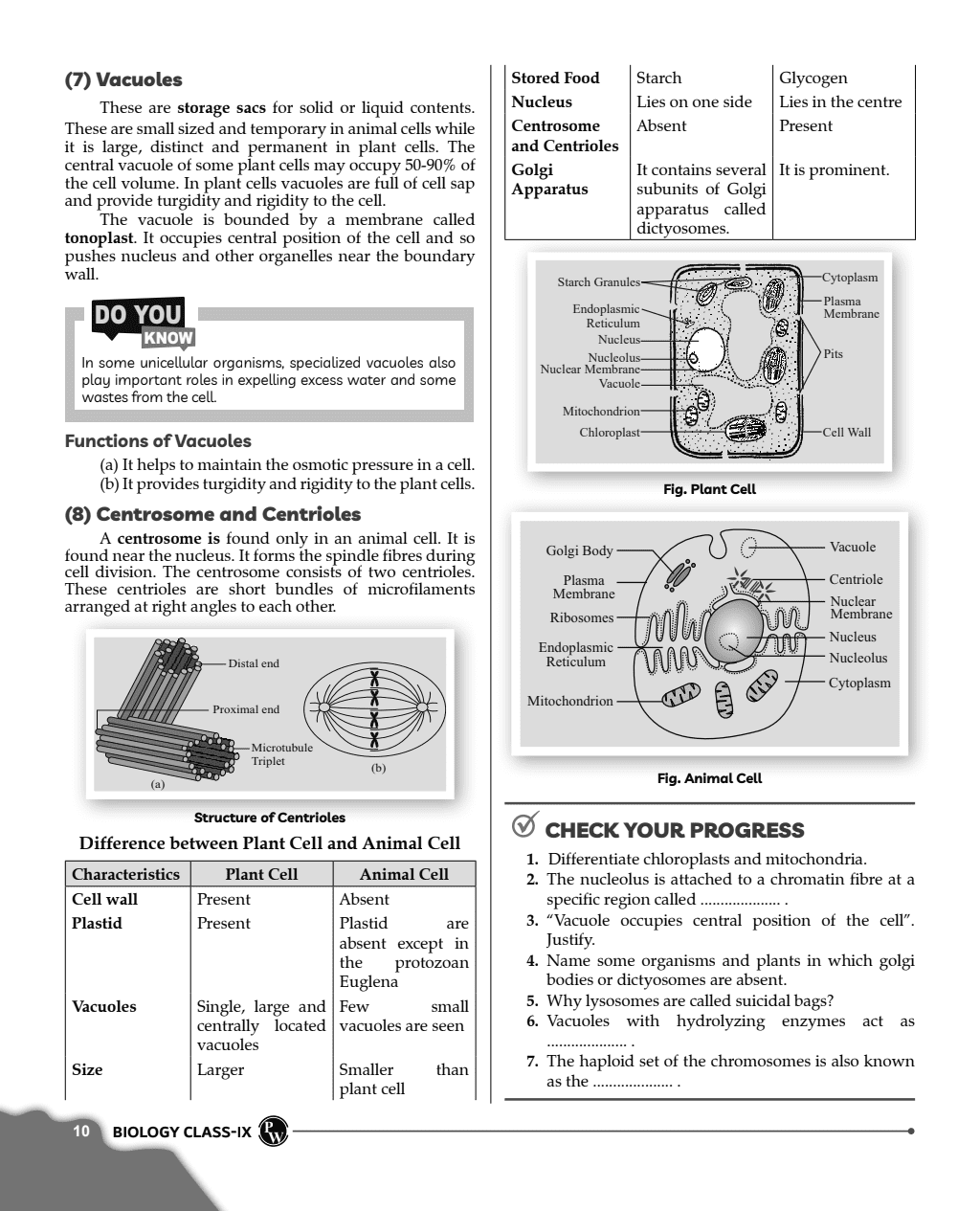 ICSE Class 9th Mathematics, Physics, Chemistry, Biology, Geography, History and Civics, English Langauge Paper 1 & 2 (Latest Edition) Combo Set of 8 Books