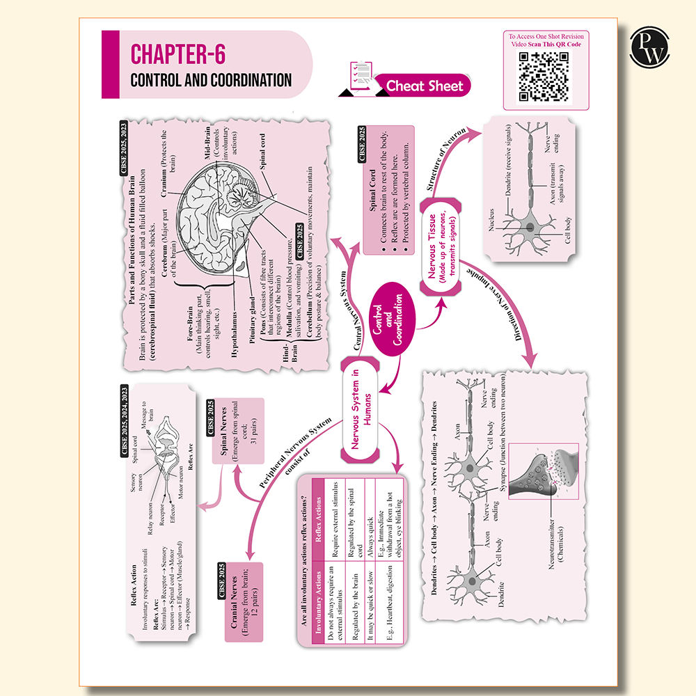 PW CBSE Class 10 Sample Papers Combo of 3 Books - Science, Maths & English for 2026 Exams ( As Per Latest SQP Dated 30 July 2025)