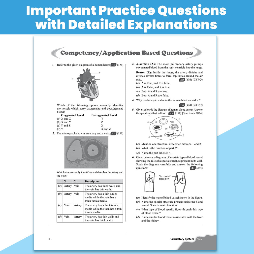 Class 10 ICSE Question & Concept Bank 2027 Physics, Chemistry, Maths, Biology, English Paper 1 (Language), English Paper 2 (Literature), Geography, History and Civics Combo Set of 8 Books