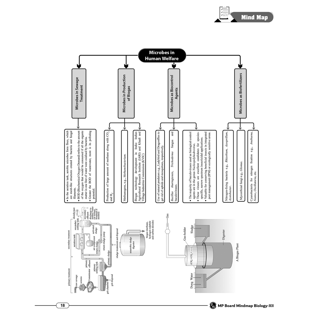 MP Board Mind Map Class 12th | Science, Mathematics & English | Last Minute Revision Notes