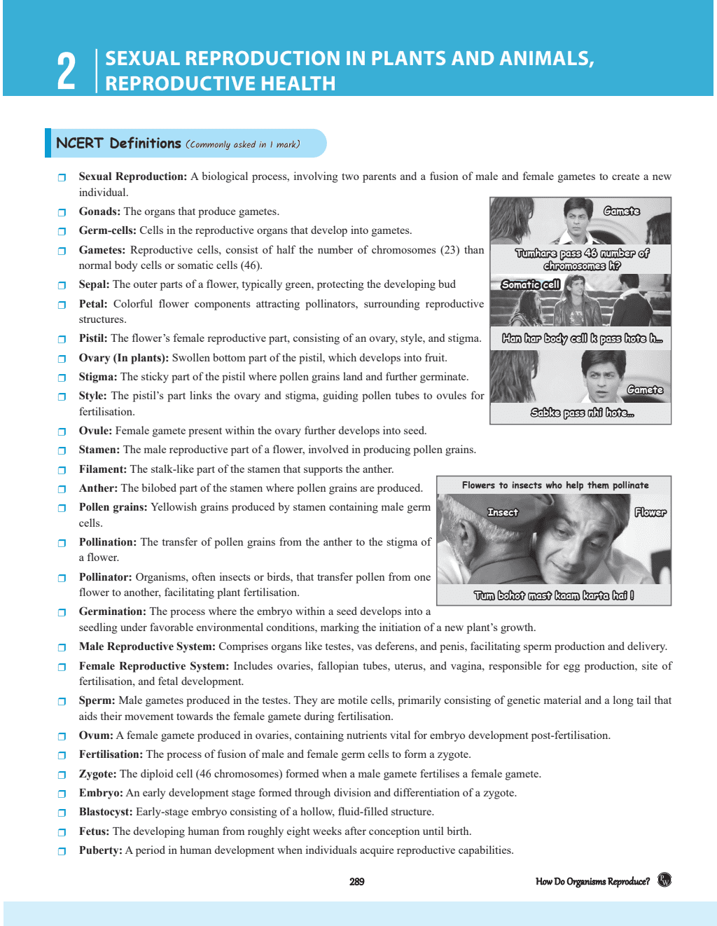 CBSE Question and Concept Bank (QCB) Class 10 Science For 2025 Board Exams Chapterwise and Topicwise Solved Questions