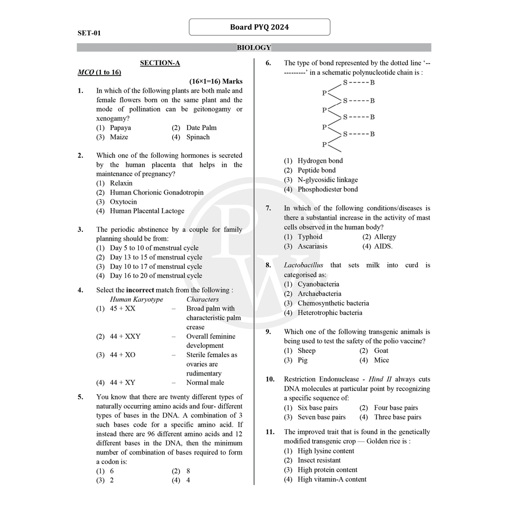 CBSE Class 12 Last 3 Years (2022 - 2024) Solved Papers For 2026 Exams | Covering Physics, Chemistry, Biology and Mathematics