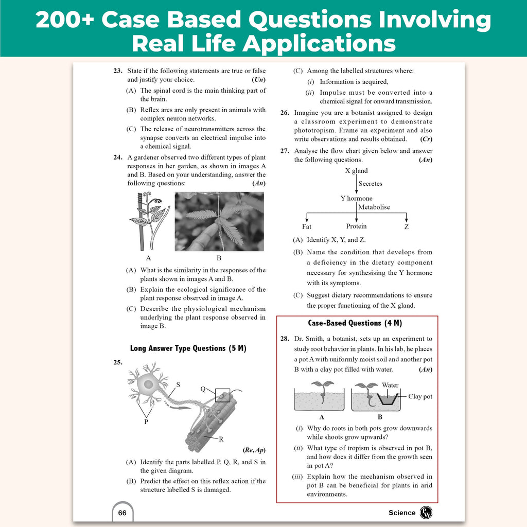 CBSE Class 10 PYQs Last 10 Years and Competency Based Questions Book (Set of 2) For 2027 Board Exams | Delhi & Outside Delhi with Multiple Sets of 2026 | 1500+ Real Life Applications Based Questions