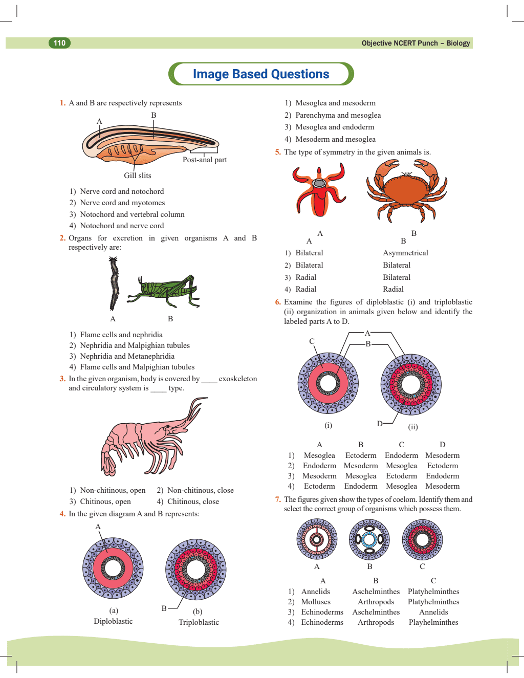 Objective NCERT Punch Biology For NEET 2025 by Dr. Vipin Kumar Sharma Sir l Updated with New Topics and Rationalised As per NMC NEET Syllabus with NEET 2024 Solved Paper