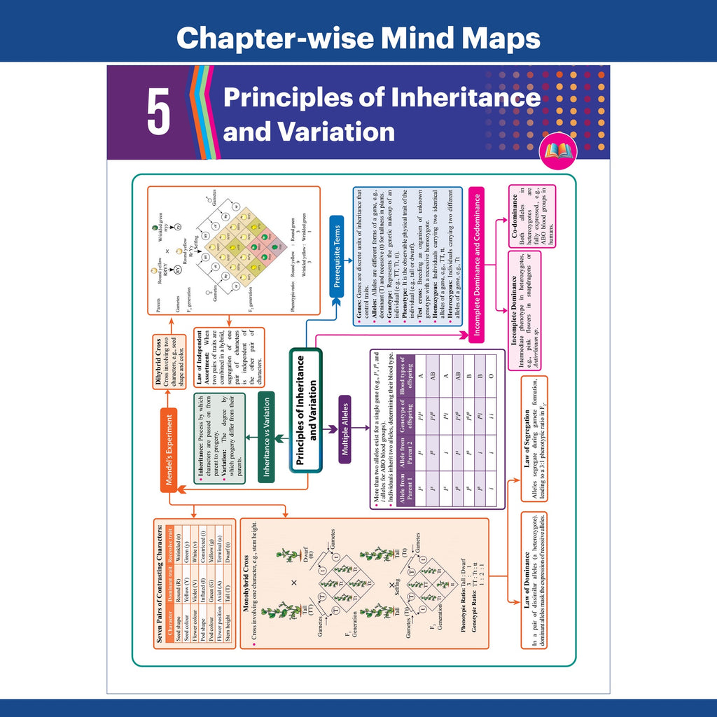 Bihar Board Class 12 JEET Guess Papers & Question Bank Physics, Chemistry, Biology, English & Hindi Combo Set of 5 Books For 2026-27 Exam | Chapterwise PYQs, Important Ques