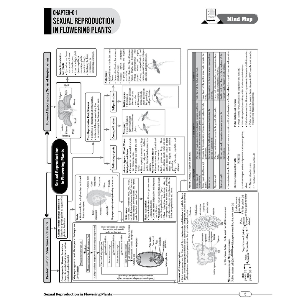 PW JAC Board Class 12 Mind Map | Based on Latest JAC Board Syllabus | Physics, Chemistry, Maths & Biology | Smart Revision for Maximum Marks